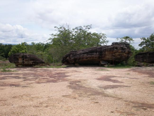 SANY7225.jpg